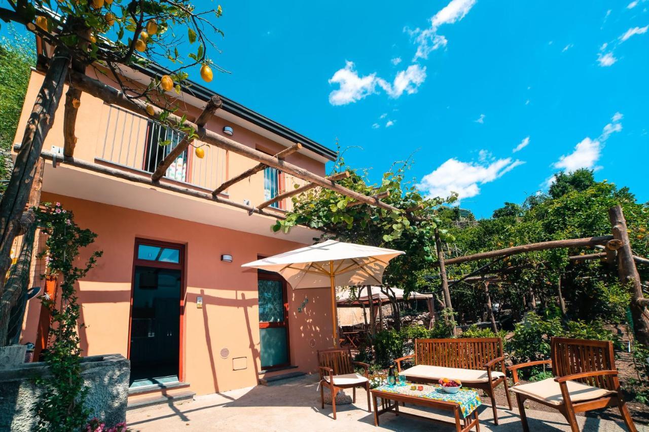 Poggio Angelarosa: Lemon Garden Stay&Relax Scala Exteriér fotografie