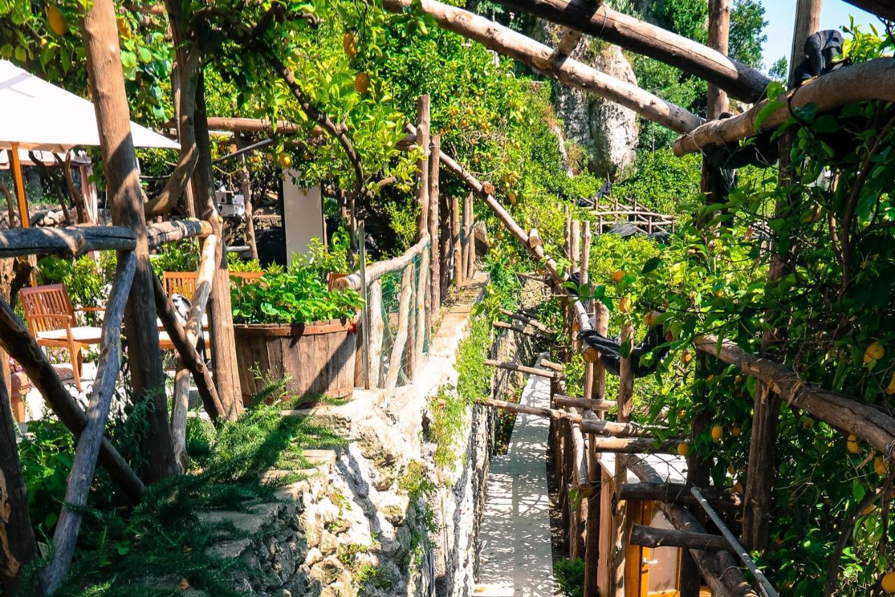 Poggio Angelarosa: Lemon Garden Stay&Relax Scala Exteriér fotografie