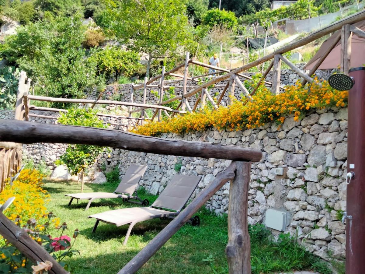 Poggio Angelarosa: Lemon Garden Stay&Relax Scala Exteriér fotografie