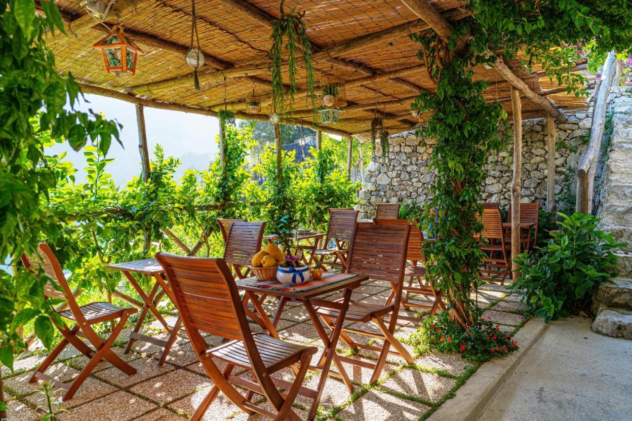Poggio Angelarosa: Lemon Garden Stay&Relax Scala Exteriér fotografie