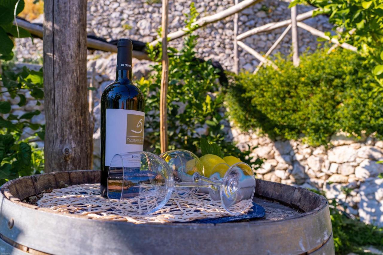 Poggio Angelarosa: Lemon Garden Stay&Relax Scala Exteriér fotografie