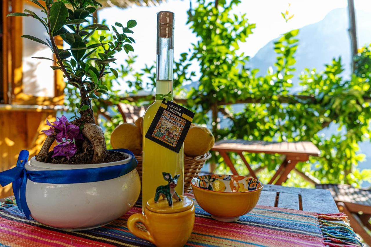 Poggio Angelarosa: Lemon Garden Stay&Relax Scala Exteriér fotografie